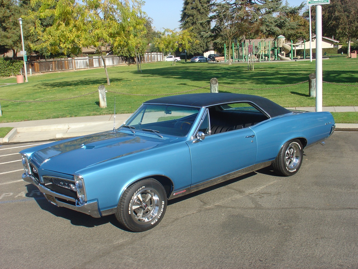 Blue GTO gleaming beside the park playground